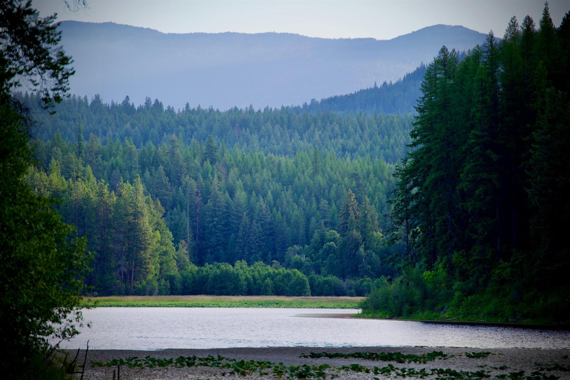 A lake below forested mountains under a clear sky