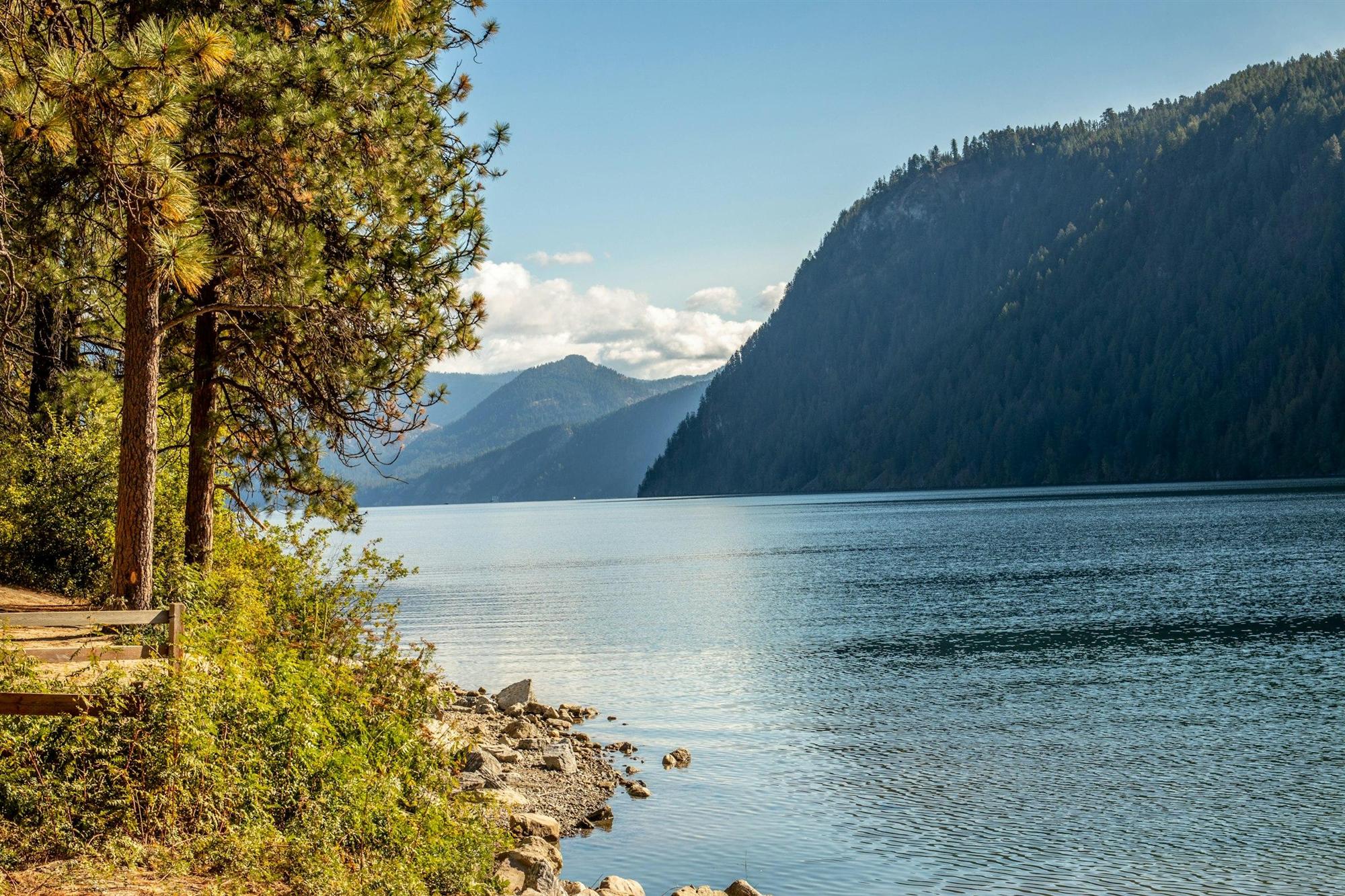 Evergreen trees along the shore of a calm lake